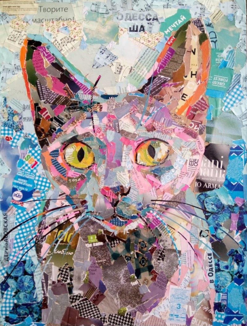 Той самий кіт із книг, у якого найлюдяніший і найглибший погляд.