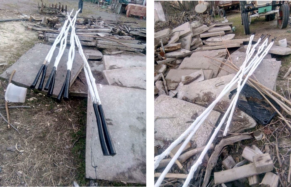 Олександр Танасюк: Мистецтво камуфляжу та пошуквнутрішньої свободи